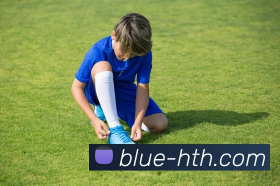 hth体育平台生态图